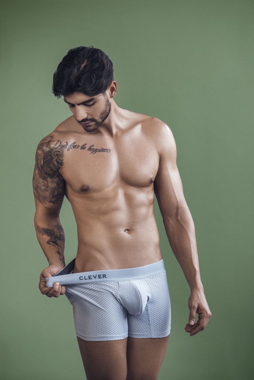 Clever 1260 Euphoria Boxer Briefs Color Gray